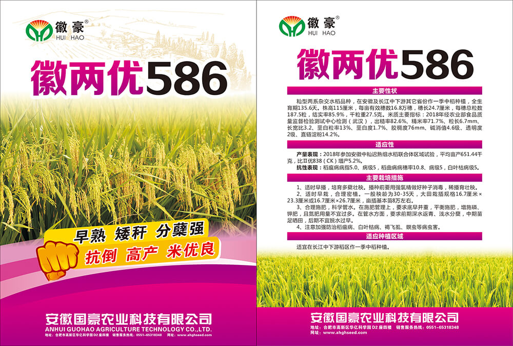 1655863158260715.jpg 徽兩優(yōu)586 (1).jpg