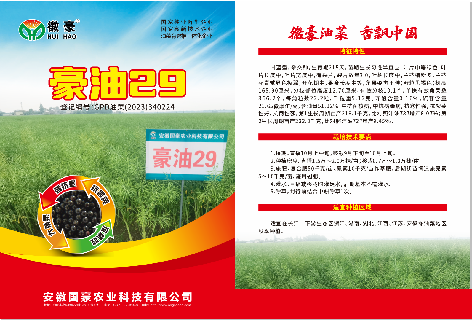1722235541274907.png 豪油29海報.png