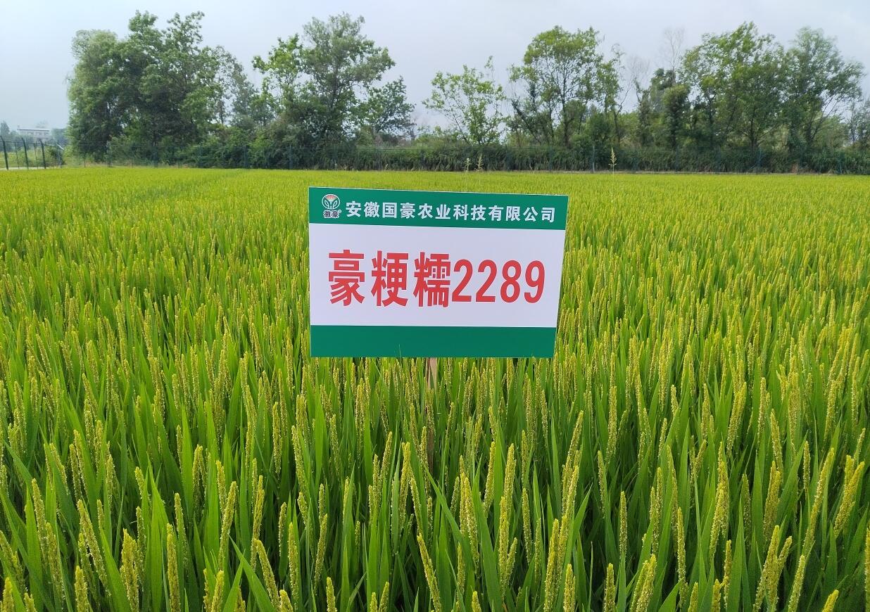 1741761339896744.jpg QQ截圖20250312144751.jpg