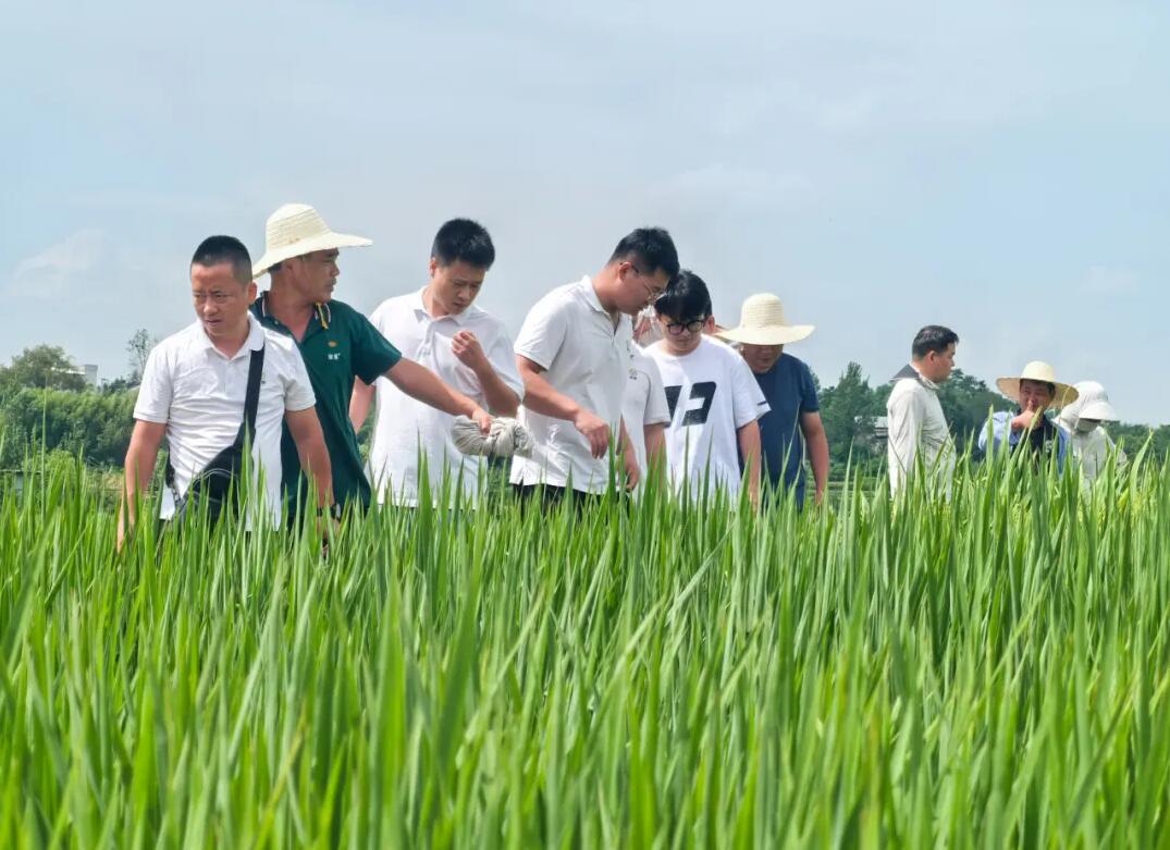 1753941810950973.jpg QQ截圖20250731141433.jpg