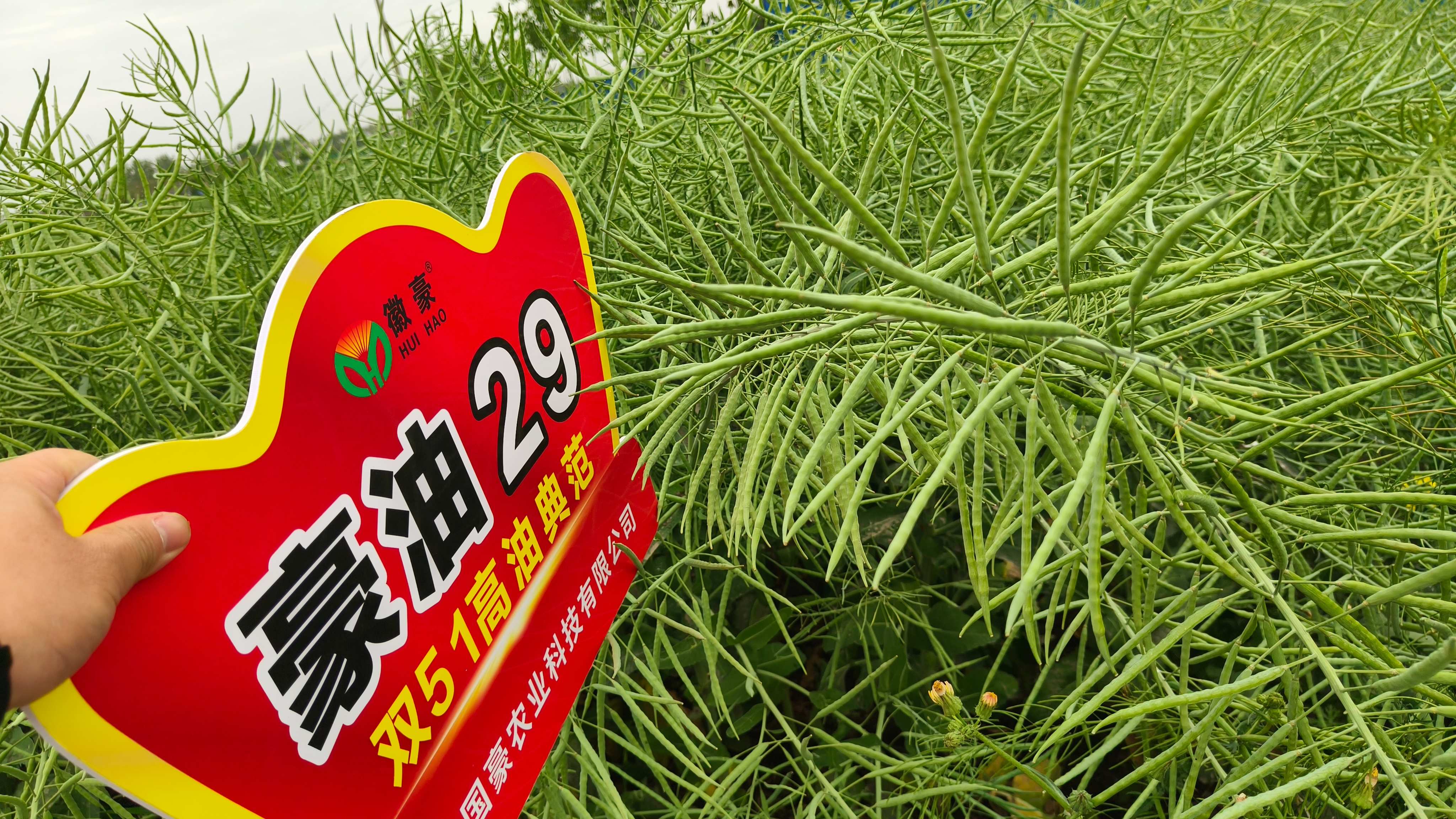 1779411571161887.jpg 微信圖片_20260521090150_13_20(1).jpg
